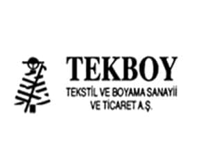 Tekboy logosu